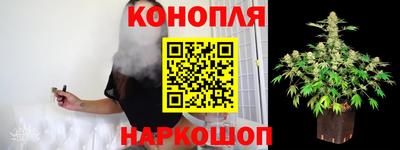 индика Краснодар