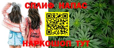 индика Краснодар