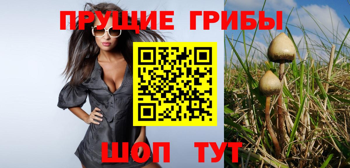 Псилоцибиновые грибы прущие грибы Ишимбай
